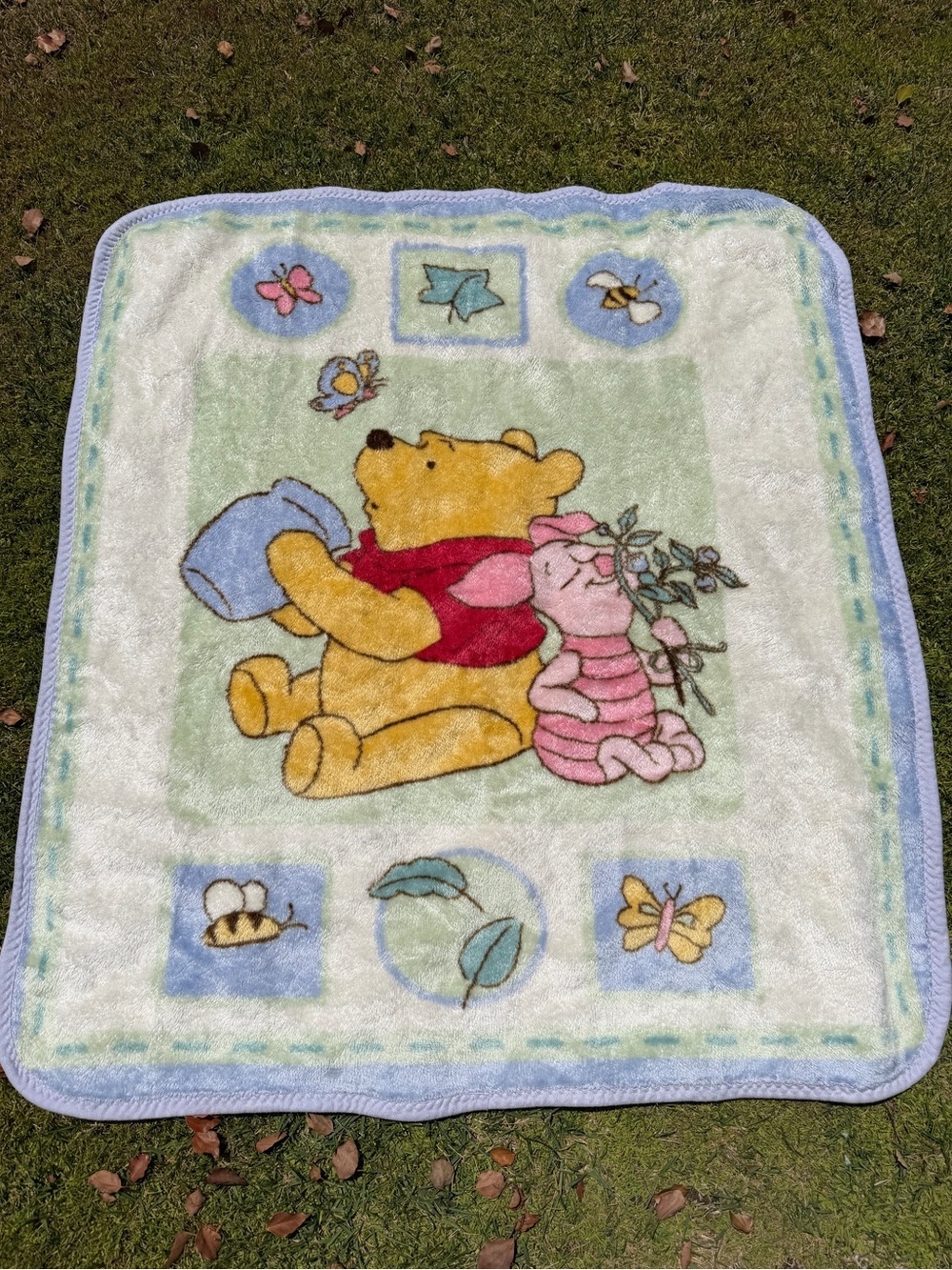 Vintage Winnie the Pooh Minky Plush Blanket Piglet Butterfly Honey Pot 43x48 GUC